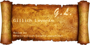 Gillich Levente névjegykártya